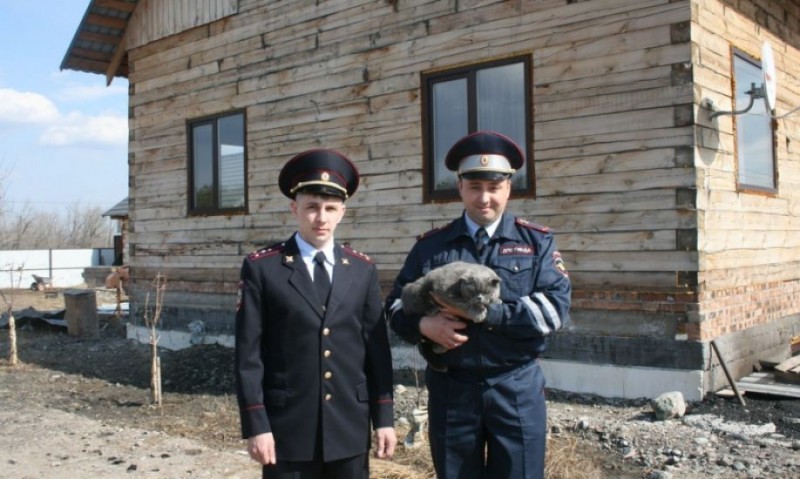 The police rescued a cat from a burning house. - cat, Highway Patrol, Good deeds