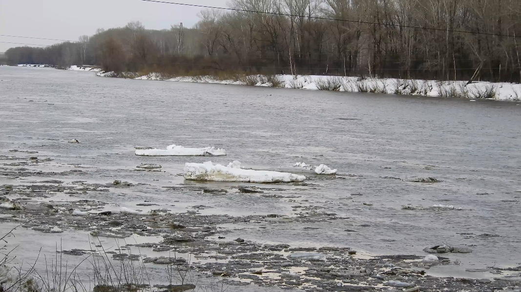 Ice drift on the Chumysh River in Altai - 2017 - My, Altai, , Video, Altai Republic