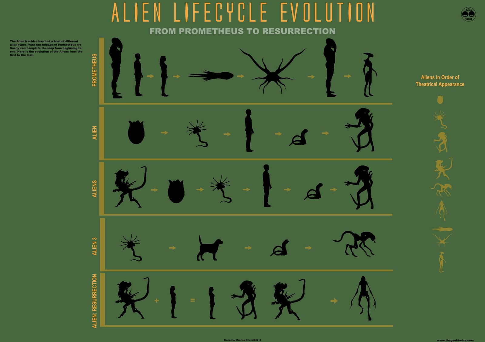 Alien evolution? - Xenomorph, Stranger, Evolution, Theory, Longpost