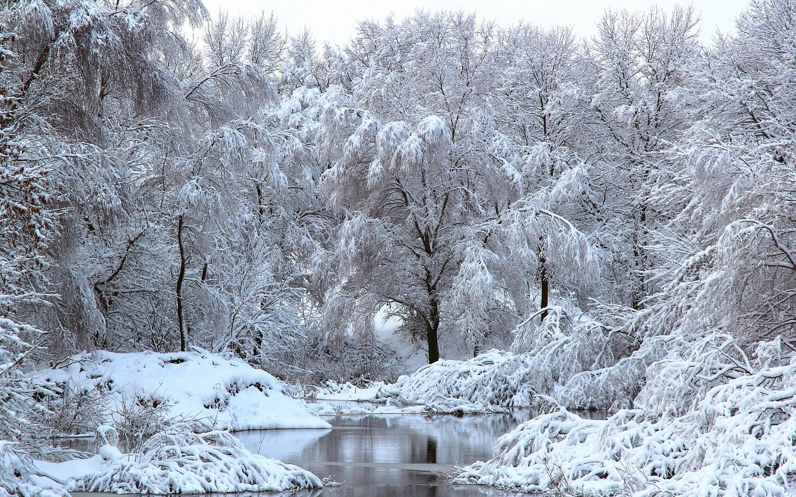 Landscape - The photo, Nature