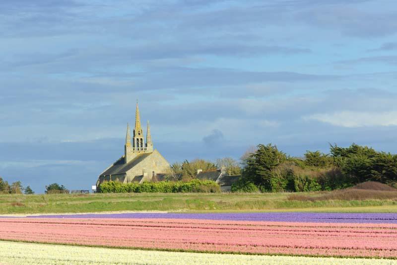 From Brittany with love. - My, France, Brittany, Absolutely tourist post, beauty, Tulips, Surfing, Text, Longpost