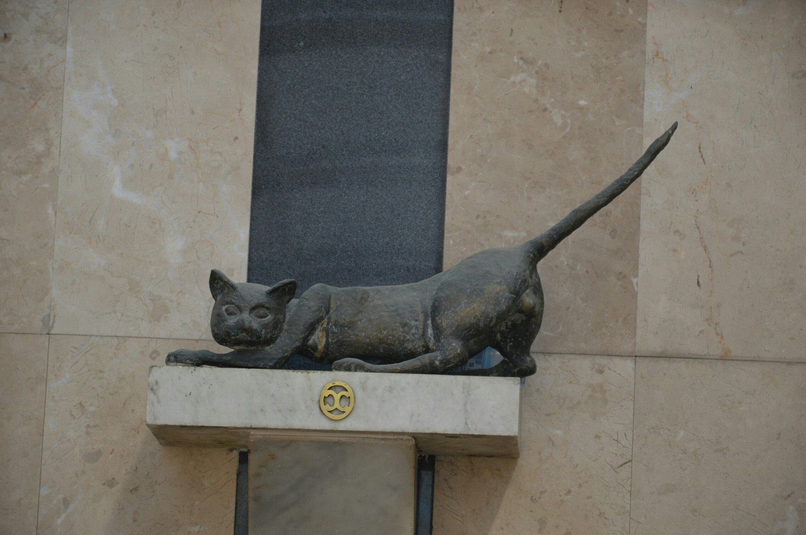 unlucky cat - My, cat, Happiness, Sochi, Sculpture