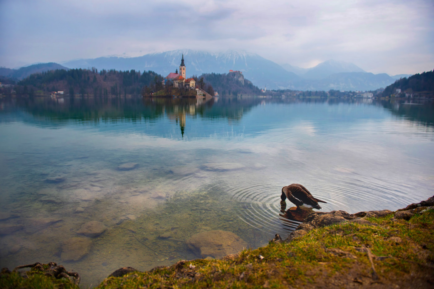 Lake Bled - Bled, Lake, Nature, Longpost