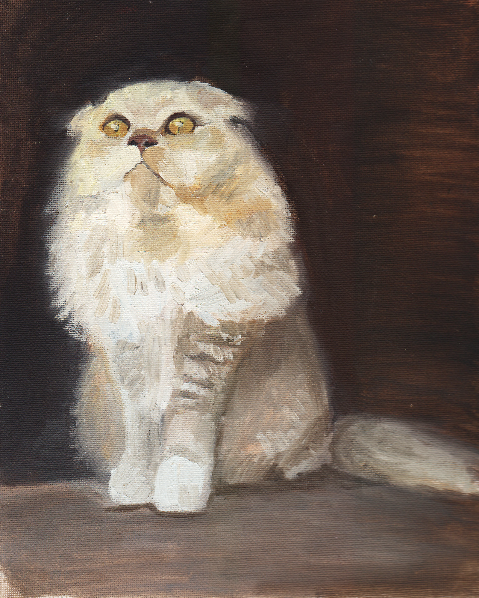 Pair of oil sketches - My, cat, Painting, My, Oil painting, Longpost