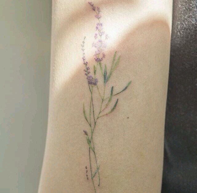 Botanical tattoos. 2 selection. - Tattoo, Flowers, , Longpost