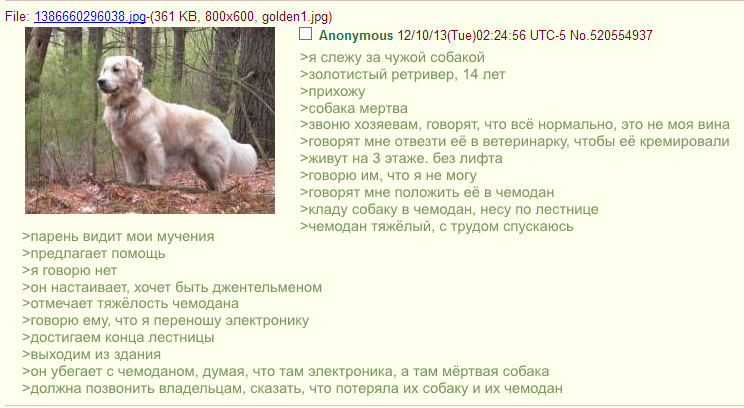 Помог - 4chan, Собака