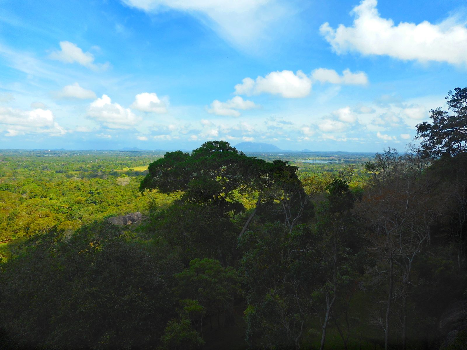 Sigiriya, oh - My, Sri Lanka, The photo, View, Nature, Sky, Sigiriya