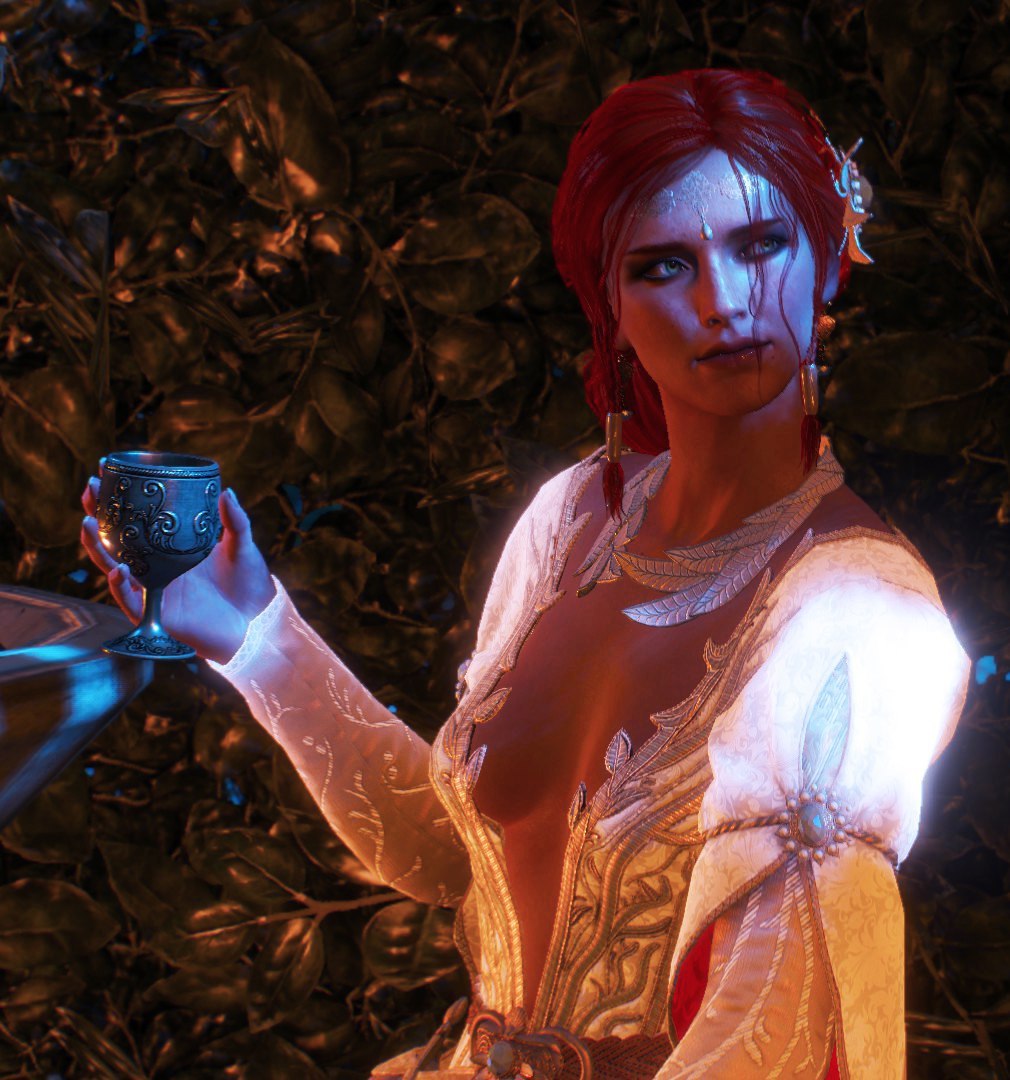 Mod with Triss and Eskel. - Witcher, Triss Merigold, Eskel, Maud, Not mine, Longpost, Fashion