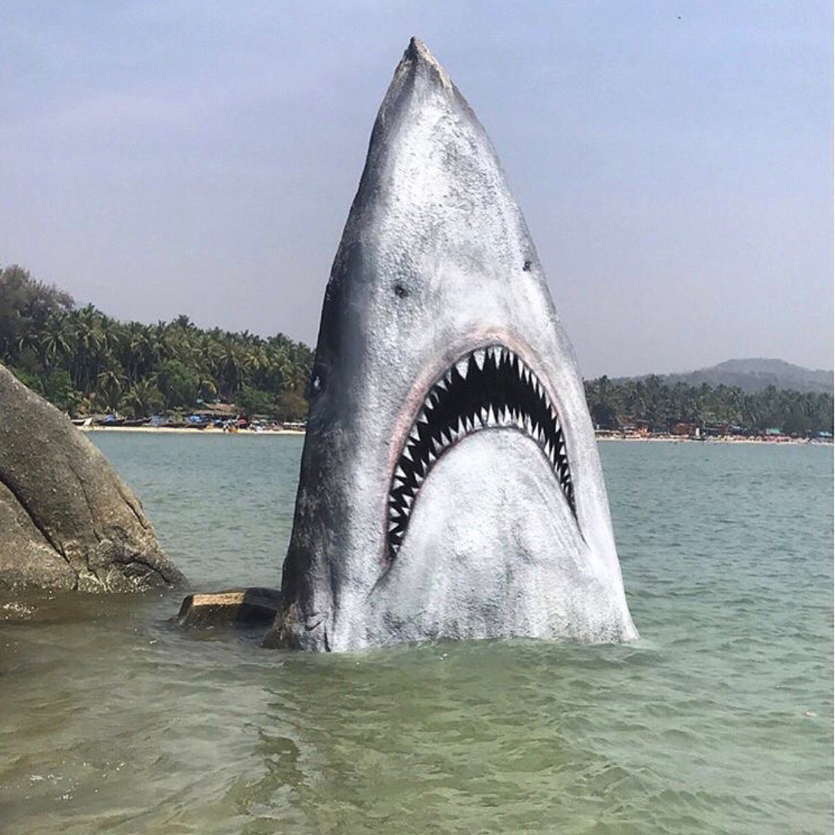 Shark on the stone - The photo, Street art, Beach, Shark