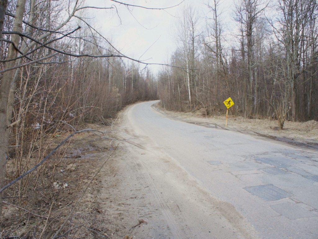 Picnic by the road. - My, My, Traditions, Picnic, Report, Forest, cat, Longpost