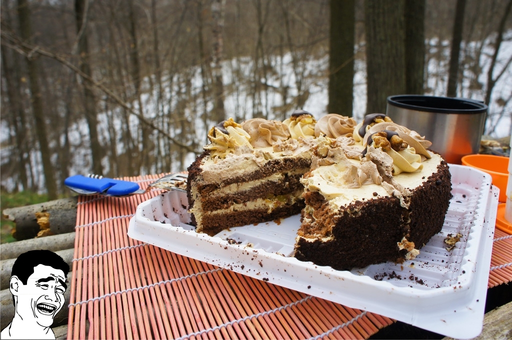 Picnic by the road. - My, My, Traditions, Picnic, Report, Forest, cat, Longpost