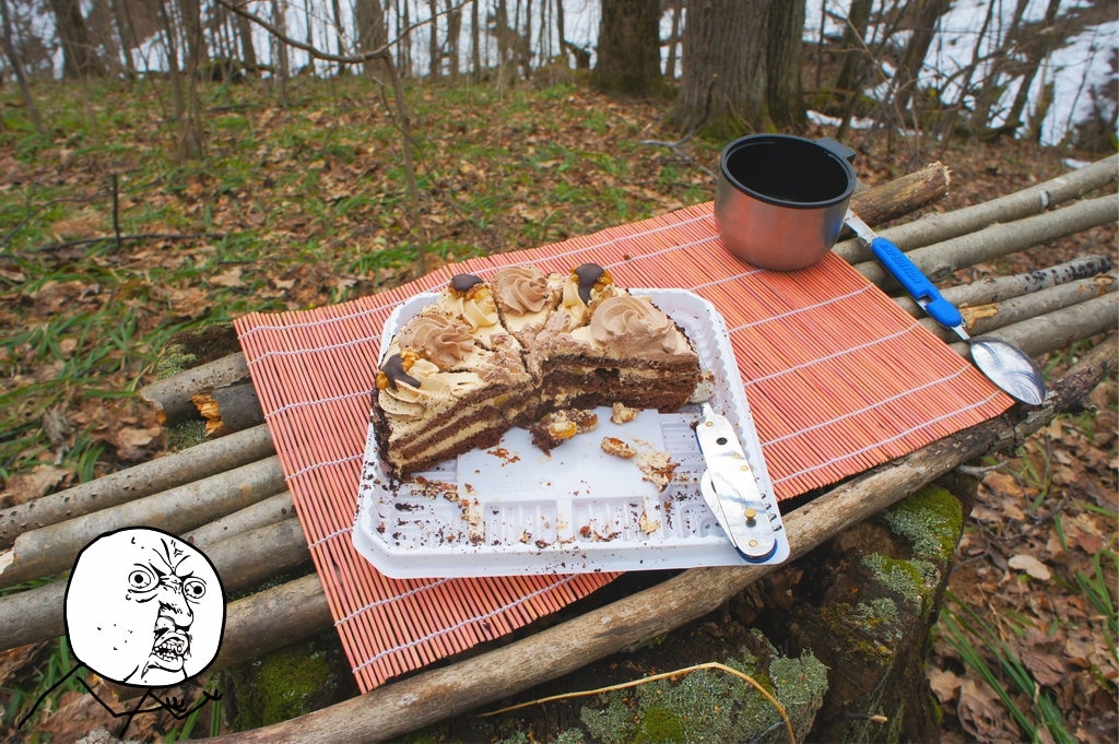 Picnic by the road. - My, My, Traditions, Picnic, Report, Forest, cat, Longpost