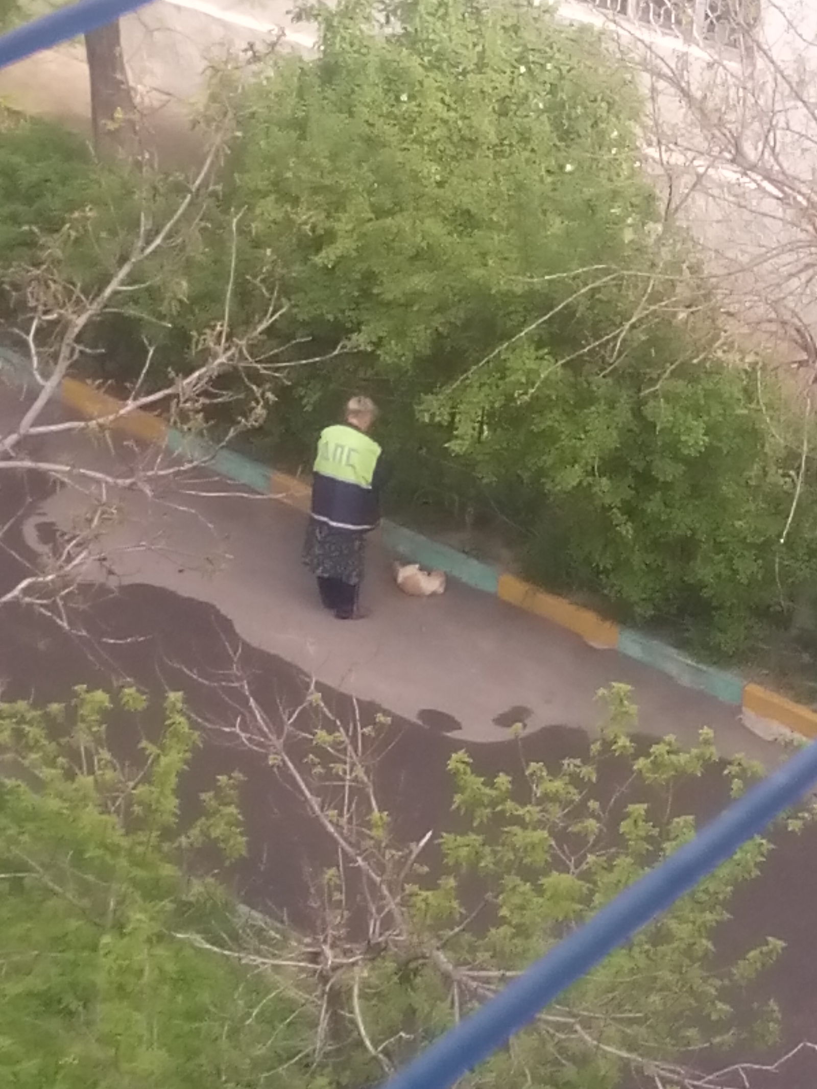 Traffic police officer and a cat - DPS, Grandmother, 