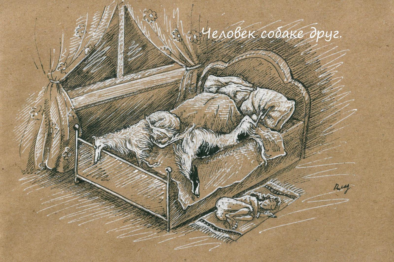 Greyhound weekdays part 2 - Not mine, Dog, Dog lovers, Greyhound, Russian Greyhound, Images, Drawing, , Longpost