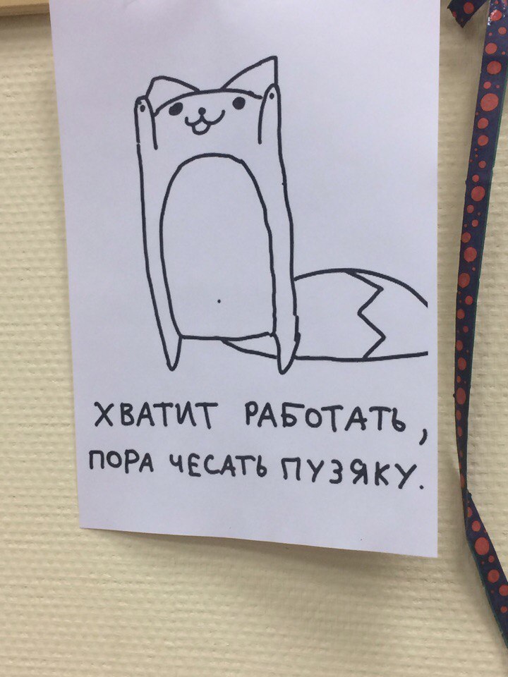 Кошак дело говорит - Кот, Работа