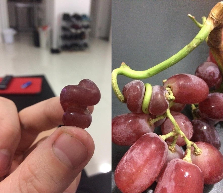 Not like everyone else - The photo, Grape, Interesting