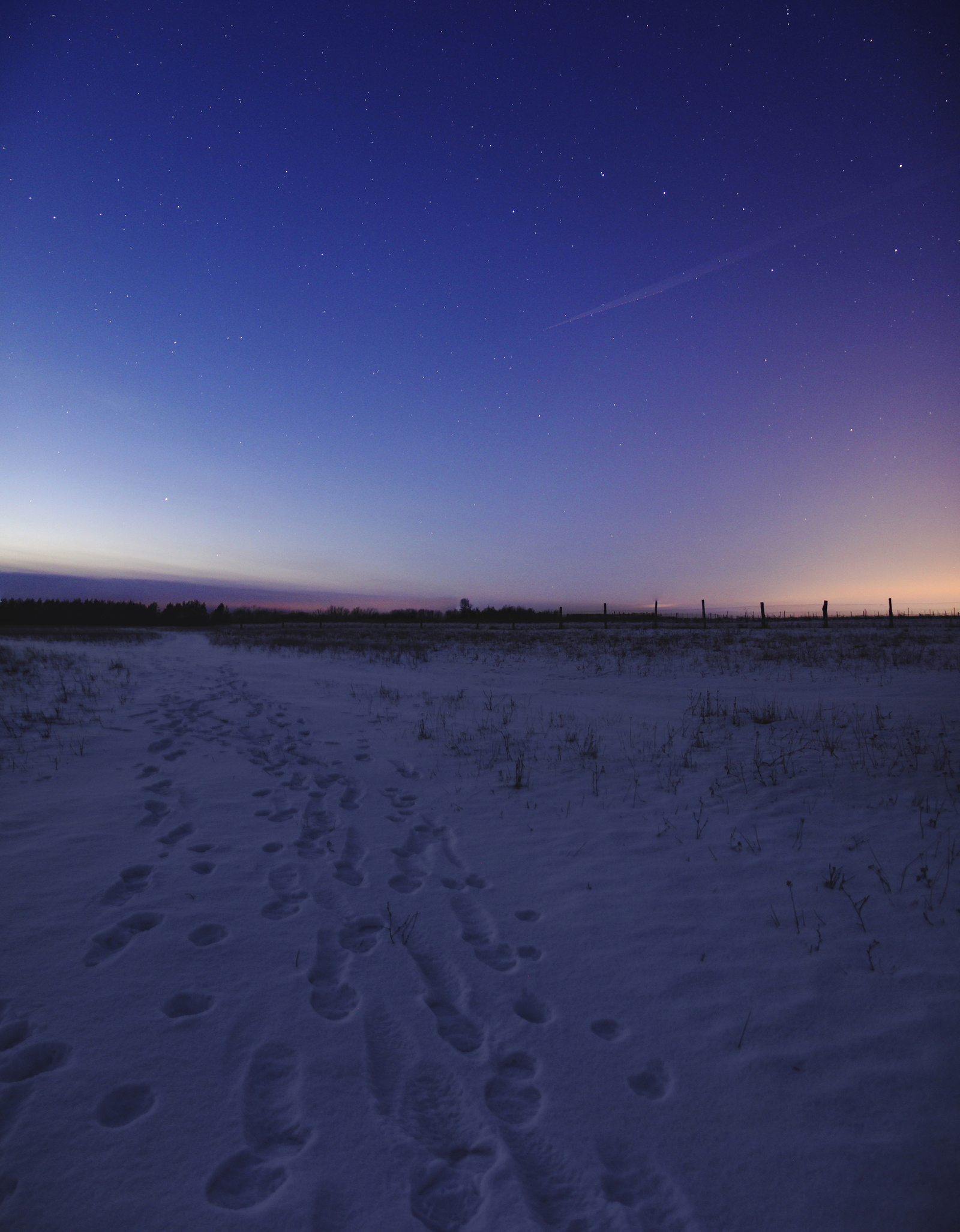 What I can really look at forever is the stars. - My, The photo, Photographer, Night shooting, Astrophoto, , Панорама, Longpost