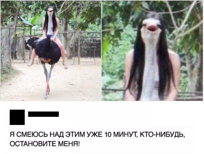 ostrich girl - Girls, Ostrich, In contact with