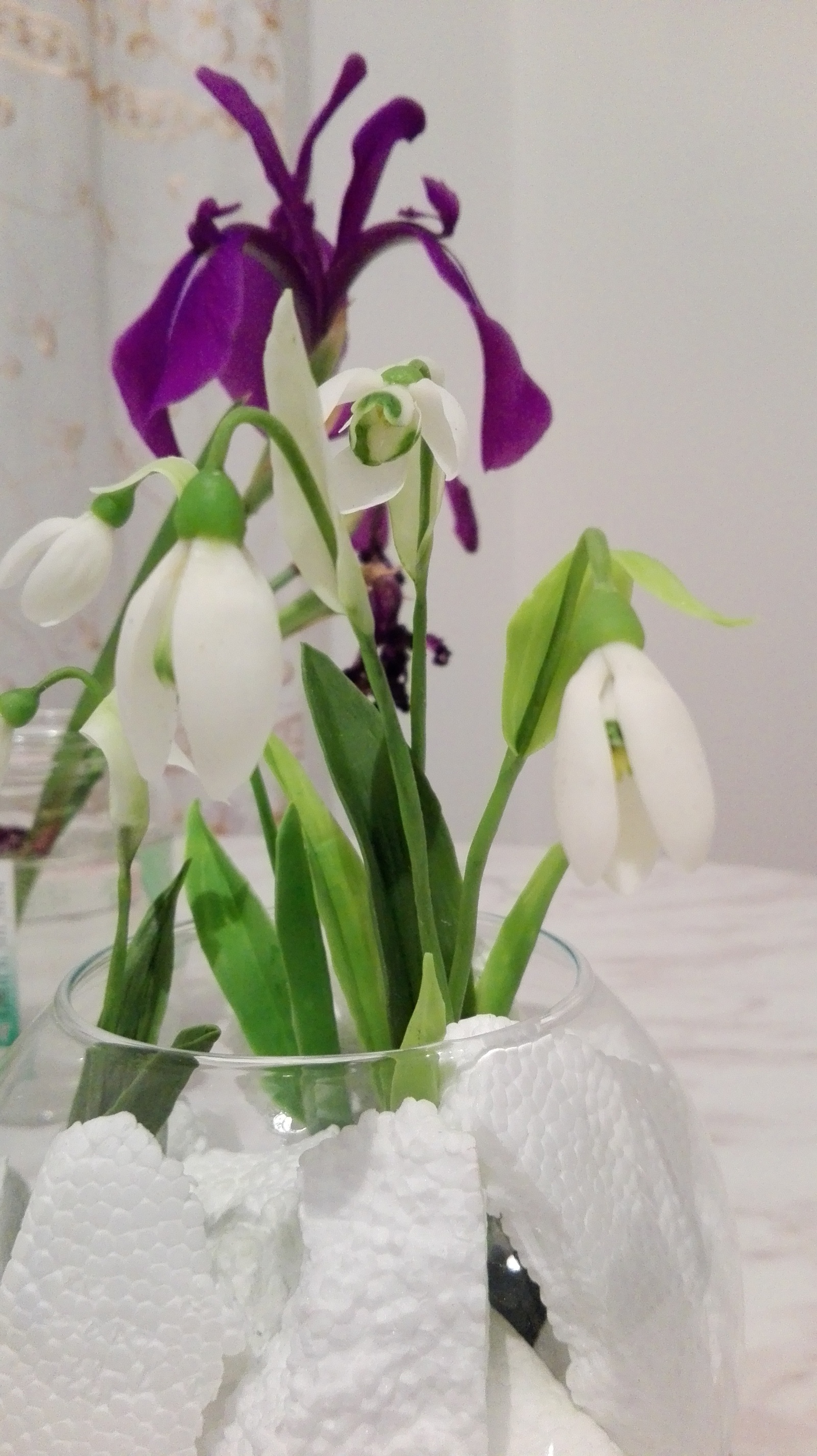 spring post) - My, Snowdrops, Cold porcelain, Handmade, Spring, Longpost, Snowdrops flowers