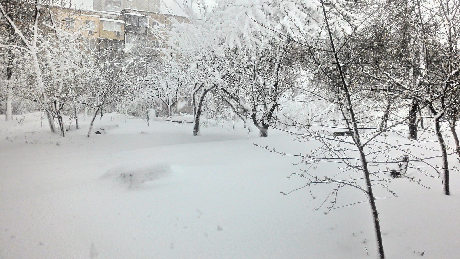 This is what April looks like in Kharkov - My, Kharkov, Winter, April