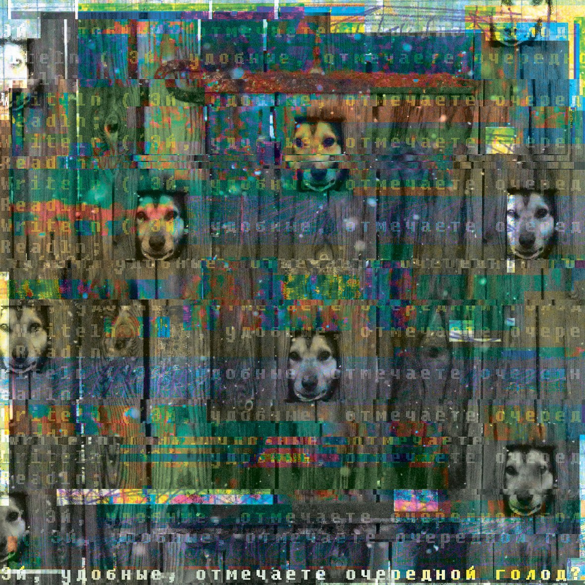 Another famine - My, Hunger, Dogs and people, Dog, Convenience, Glitches, Glitch, Modern Art