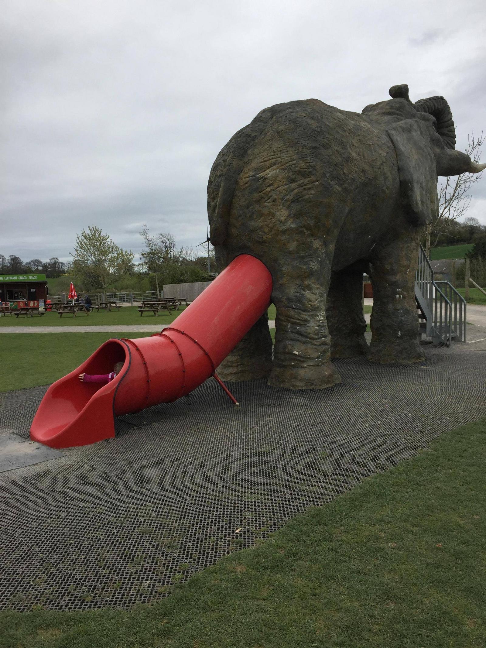 Weird slide at the zoo - Slide, Zoo, Elephants, Trash, Trash