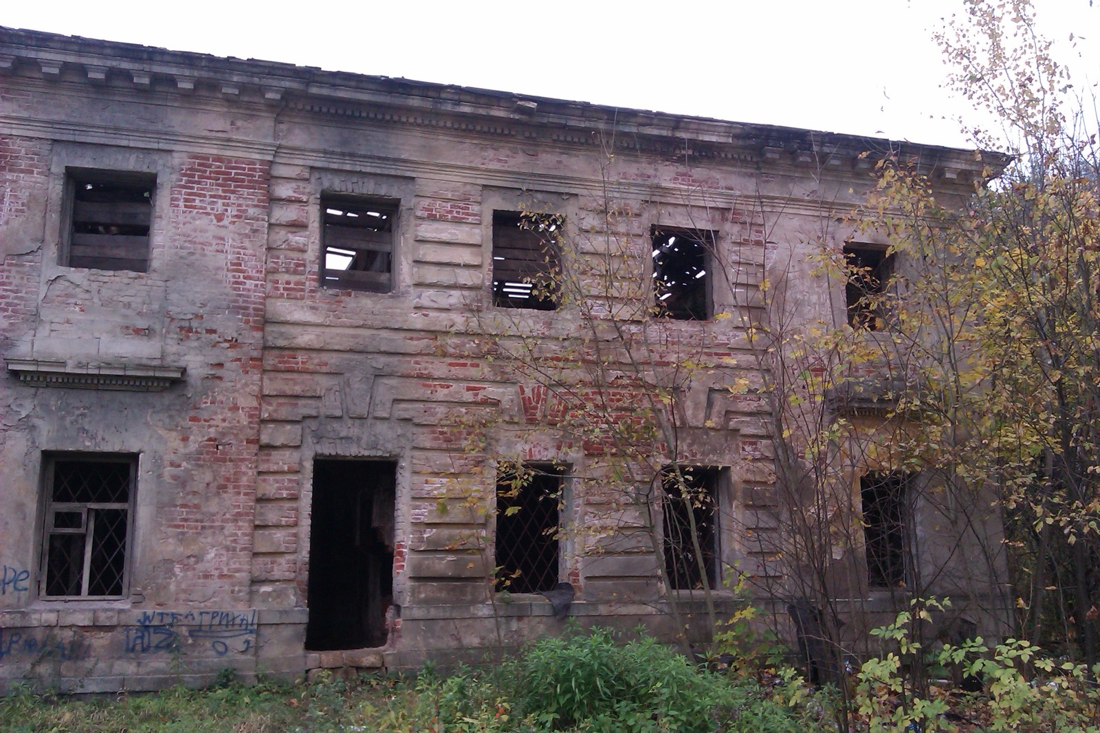 Petrovskoye (Knyazhishchevo, Alabino) - Abandoned, Manor, , Longpost