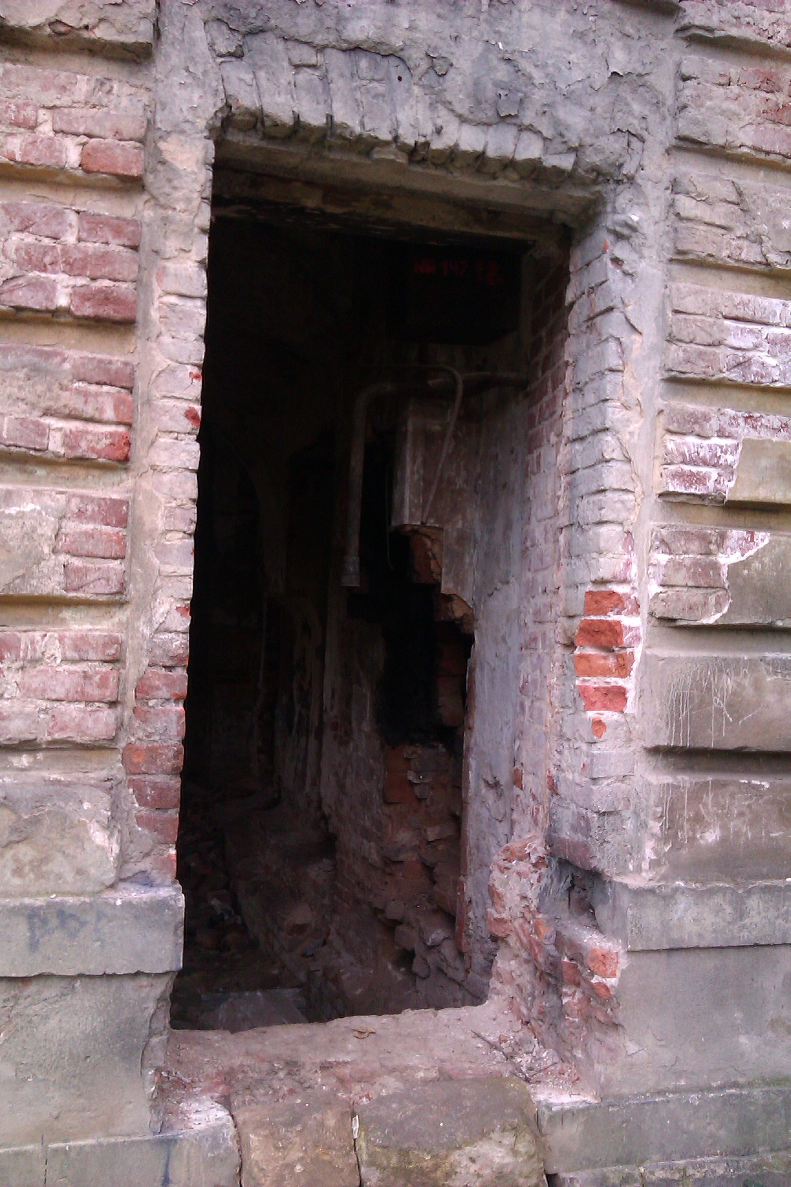 Petrovskoye (Knyazhishchevo, Alabino) - Abandoned, Manor, , Longpost