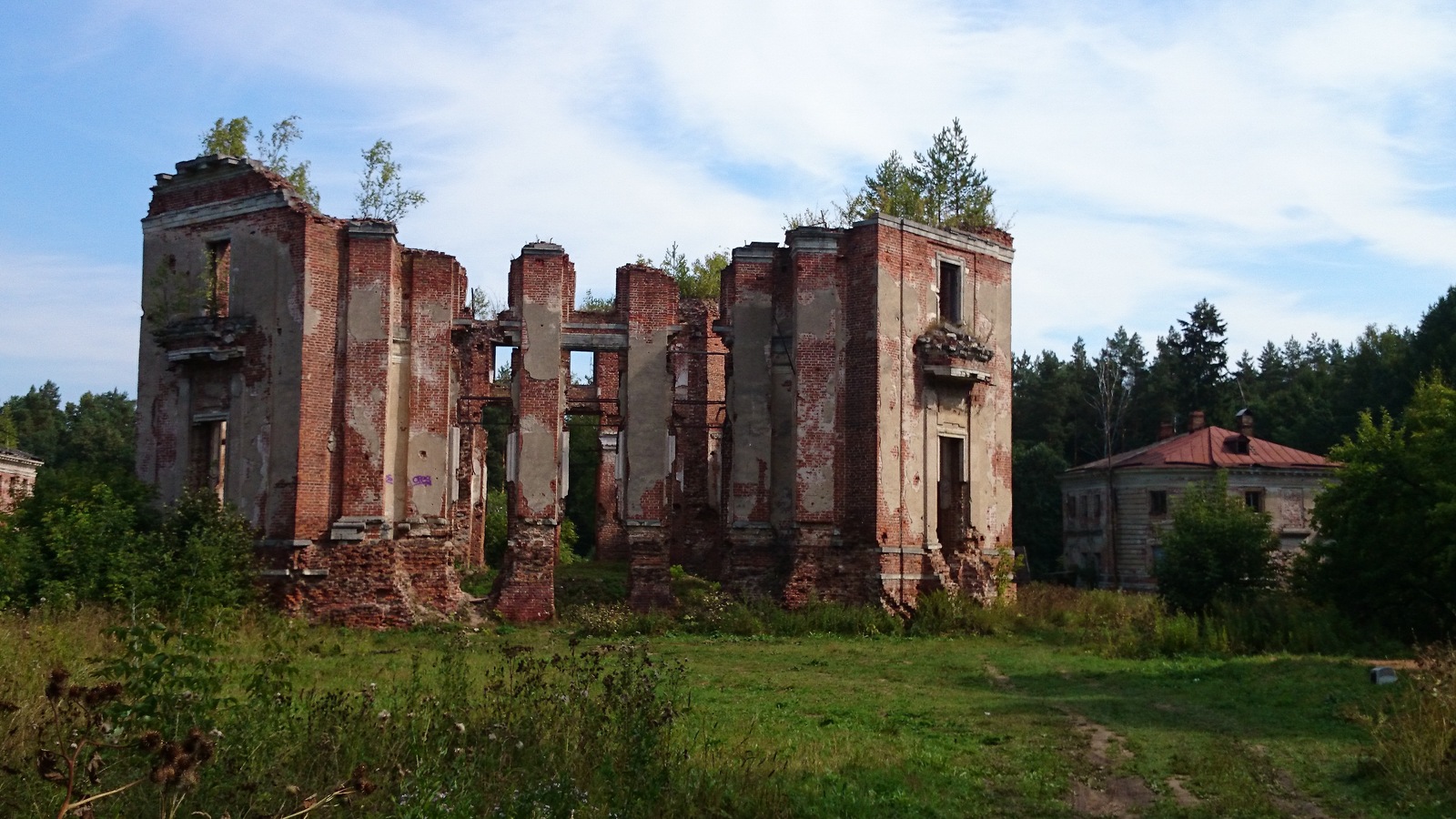 Petrovskoye (Knyazhishchevo, Alabino) - Abandoned, Manor, , Longpost