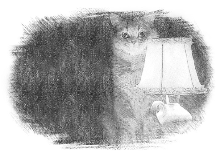 Simple ... - , , , Pencil, cat