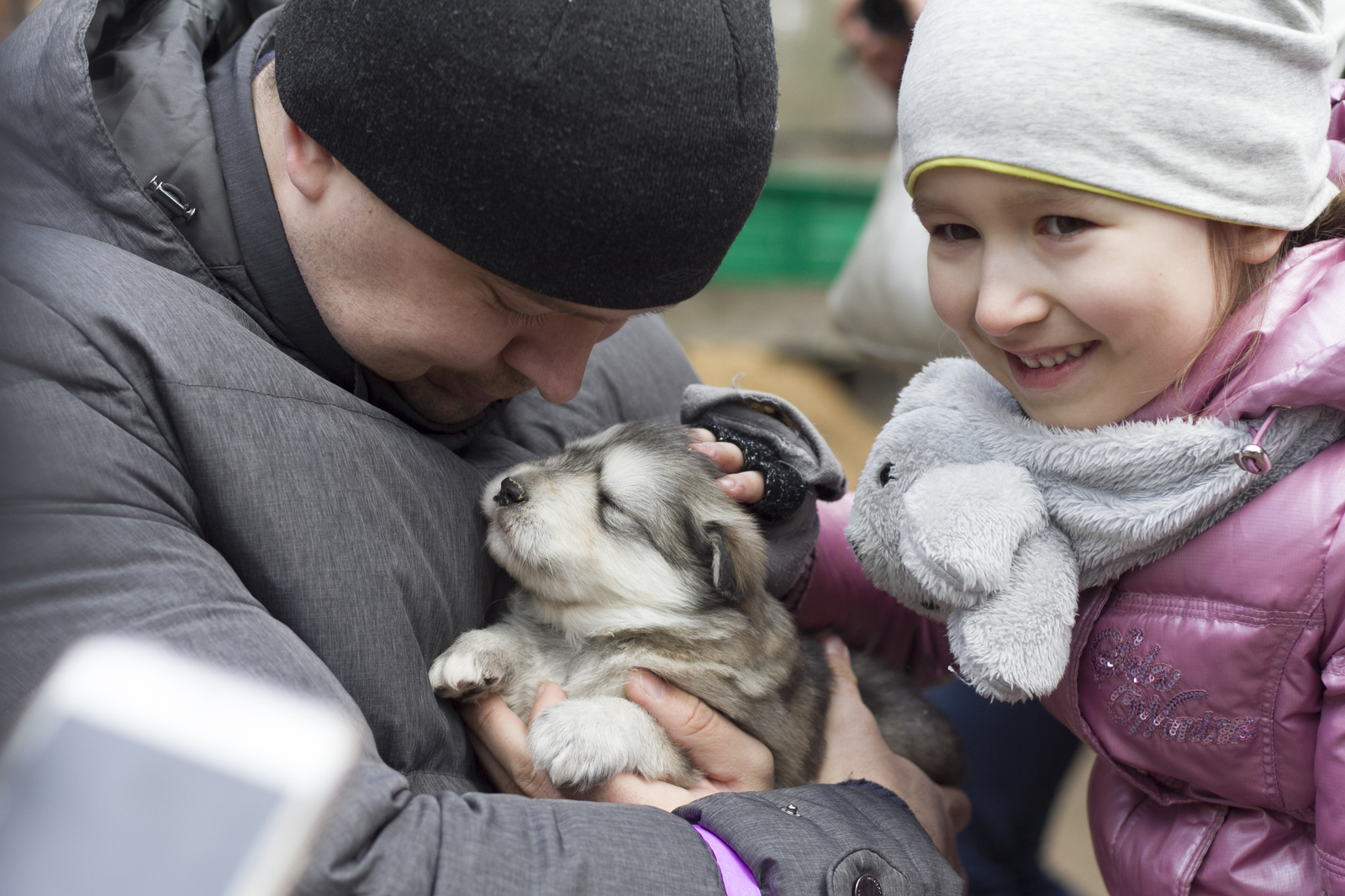 Live communication with real wolves. wolf house - My, , Longpost, , The photo, Nature, Animals