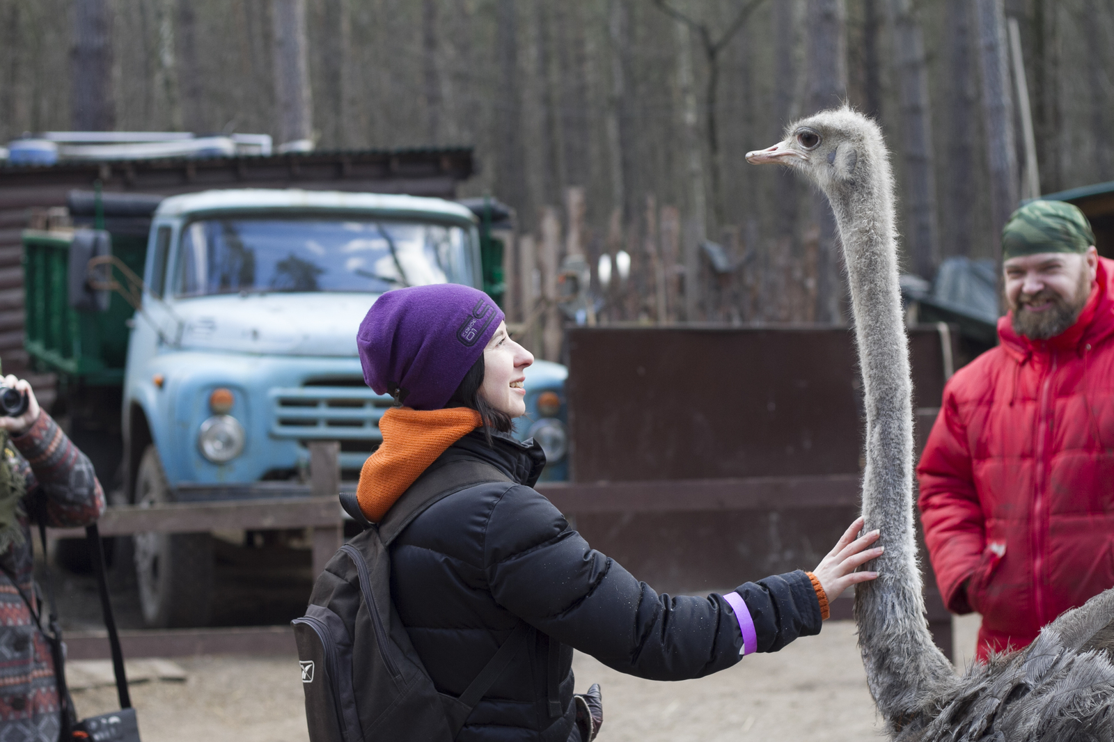 Live communication with real wolves. wolf house - My, , Longpost, , The photo, Nature, Animals