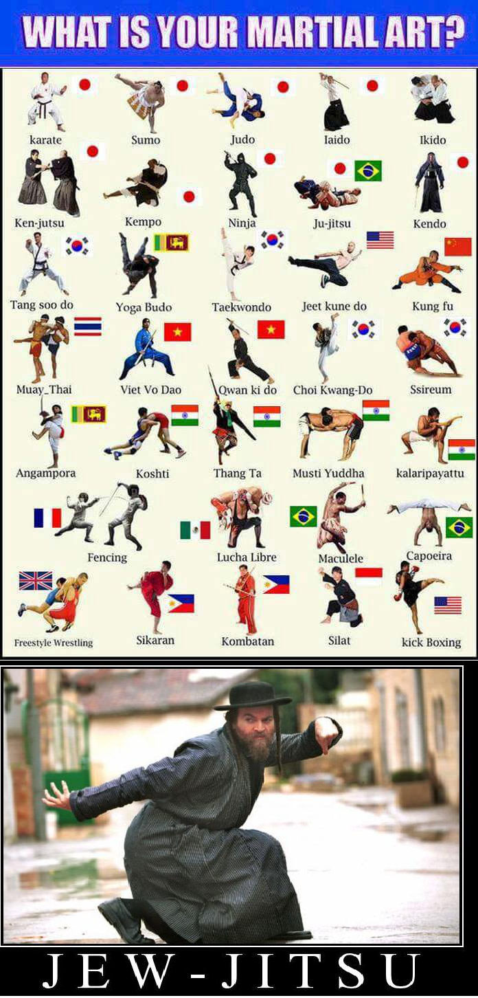 Which martial art is yours? - 9GAG, Humor, Images, Martial arts