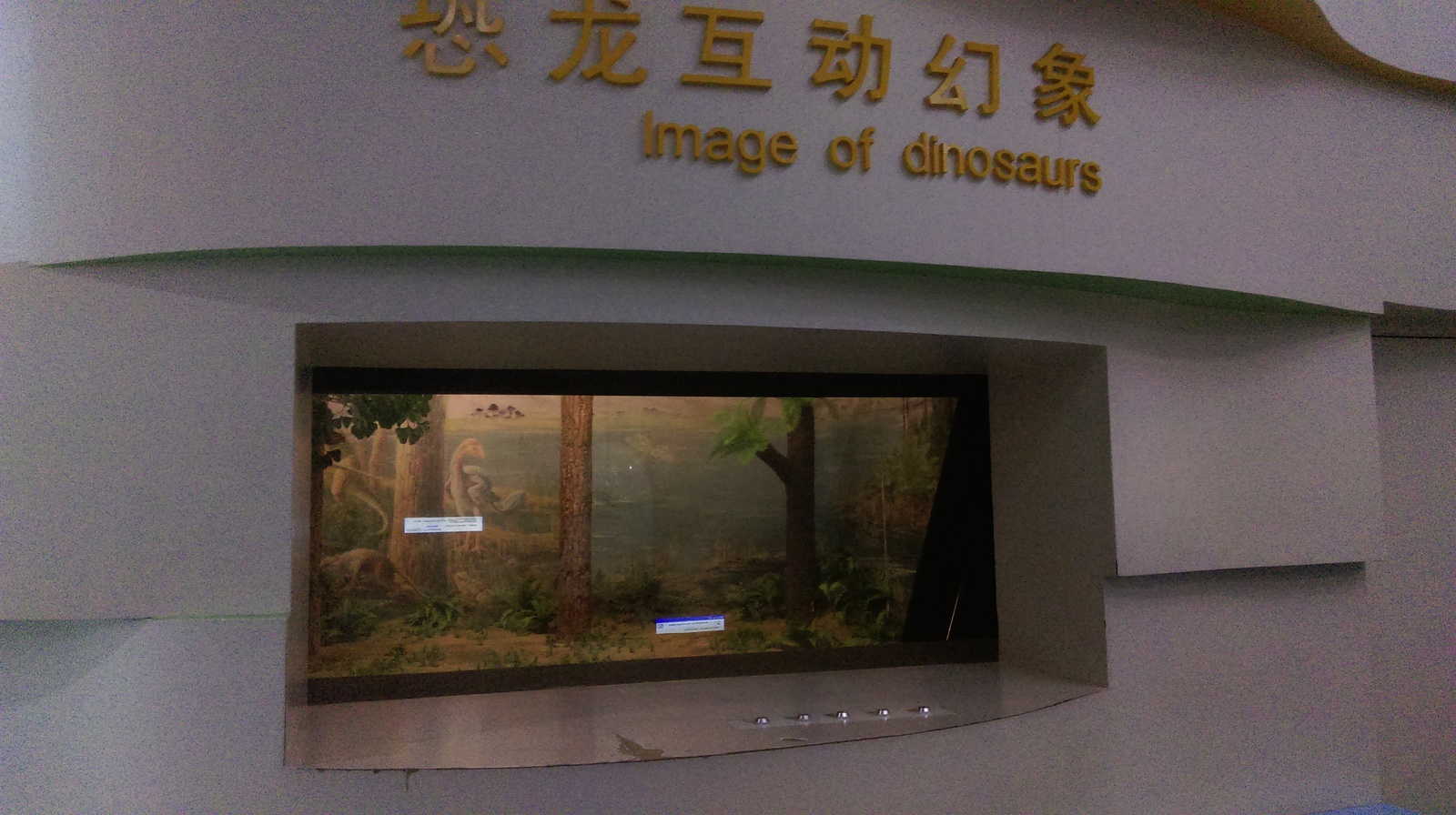 I decided to look at the dinosaurs, and then ... - My, China, Museum, Dinosaurs, Window