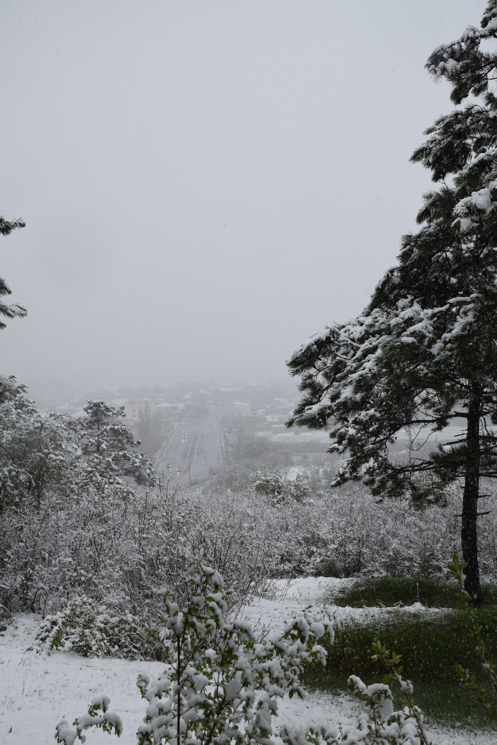 ...about the weather in Crimea today - My, Crimea, Spring, Weather, Cataclysm, Snow, I'm shocked, Longpost, Shock