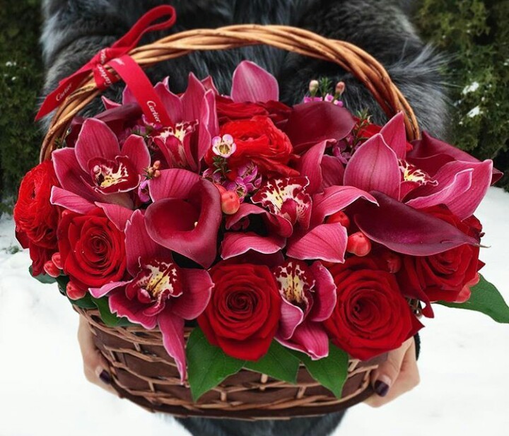 Florist Tip #4: Cymbidium Orchids Bouquet Care - My, Orchids, Cymbidium, Floristics, Flower shop, Longpost