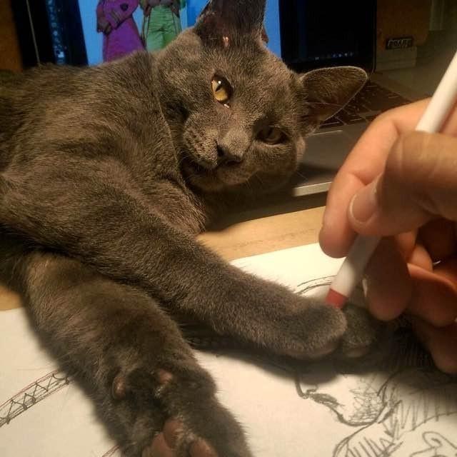 The artist and his Bagheera. - cat, Adoption, Longpost
