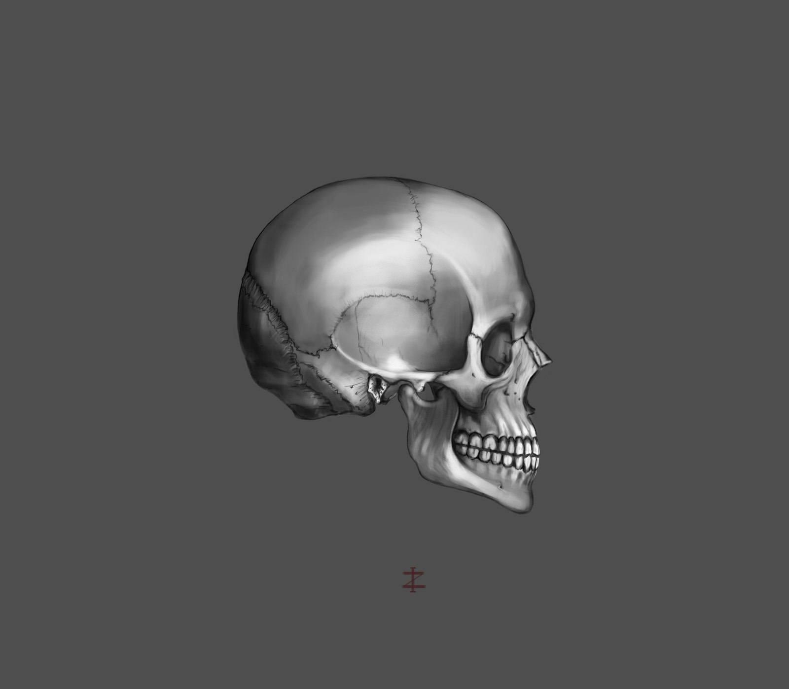 scull - My, Art, Photoshop, Drawing, Scull, Creation, Self-taught