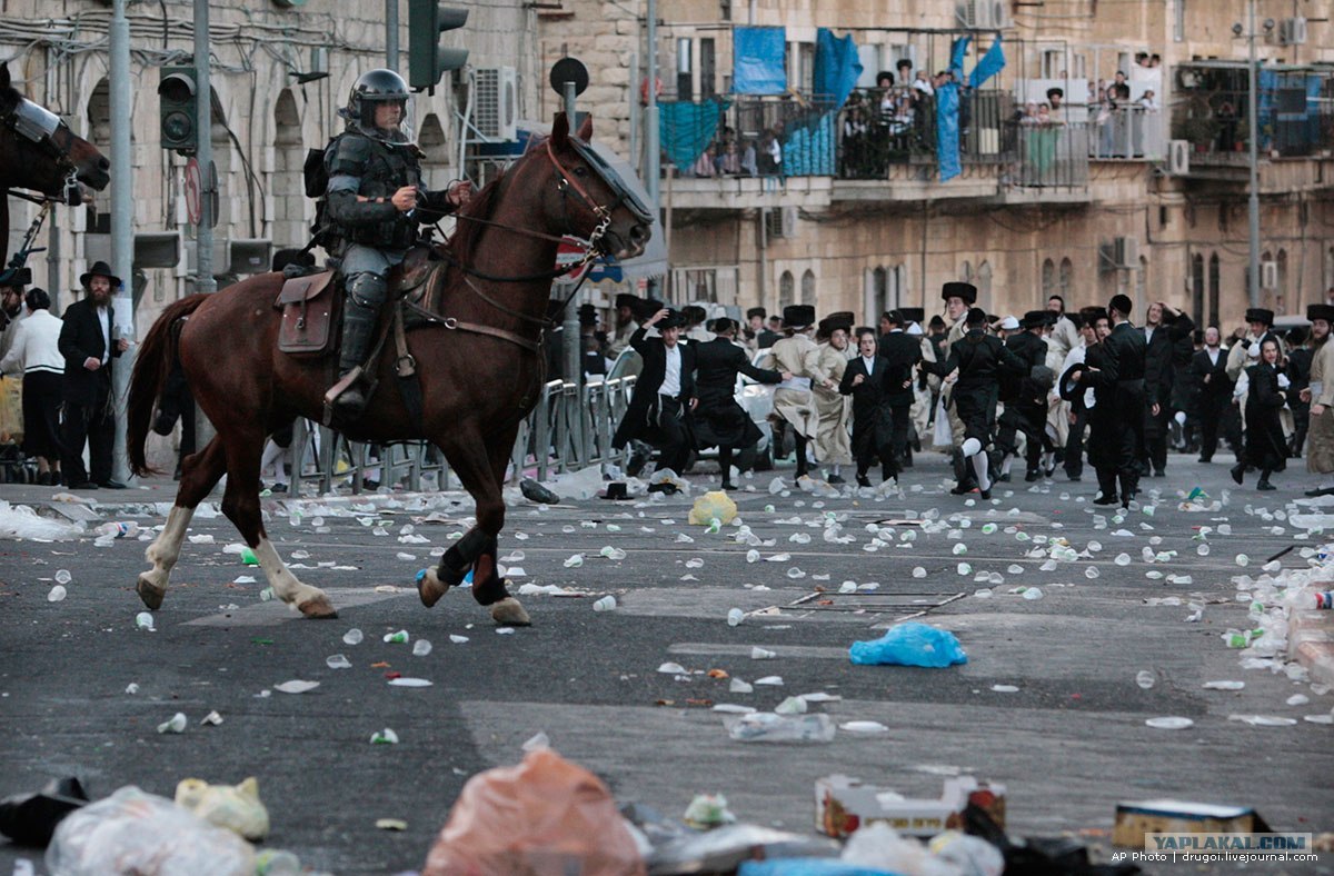 Бить евреев. Конная полиция Израиля. Полиция и Ортодоксы в Израиле. Стычки хасидов и полиции.
