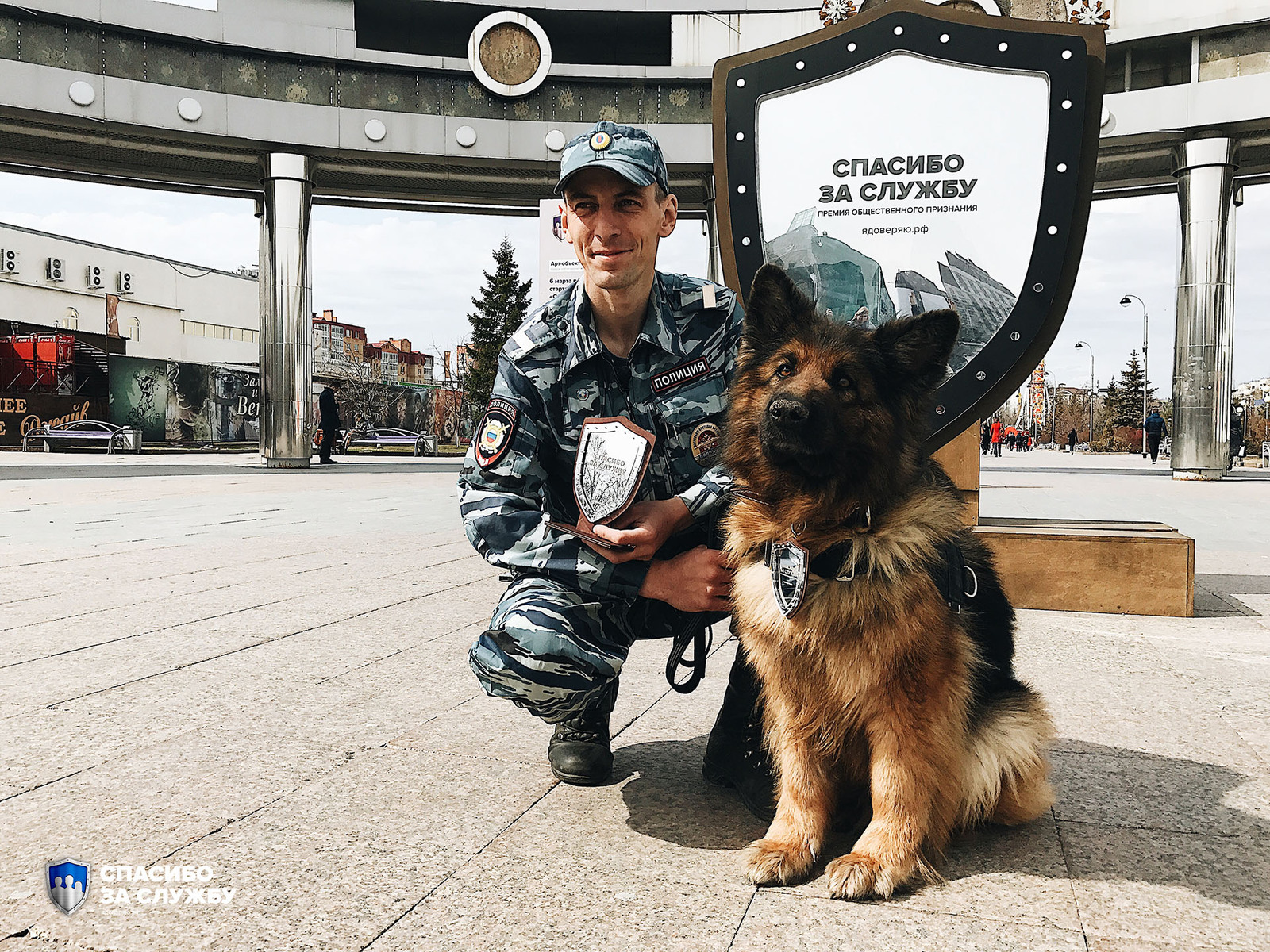 Tyumen shepherd dog Kima was awarded the Thank you for your service award - Dog, Reward, The crime, Police, Longpost