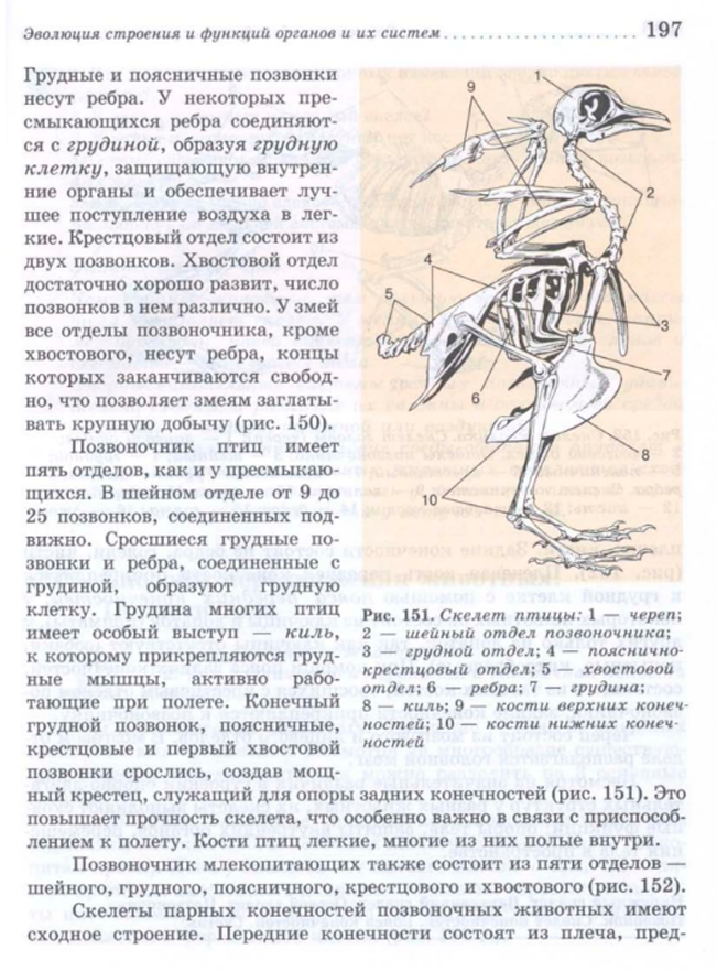 Как сделать оглавление ? - Моё, Гарри Поттер, Джоан Роулинг, Фантастические твари и где они обитают, Рисунок, Учебник, Длиннопост