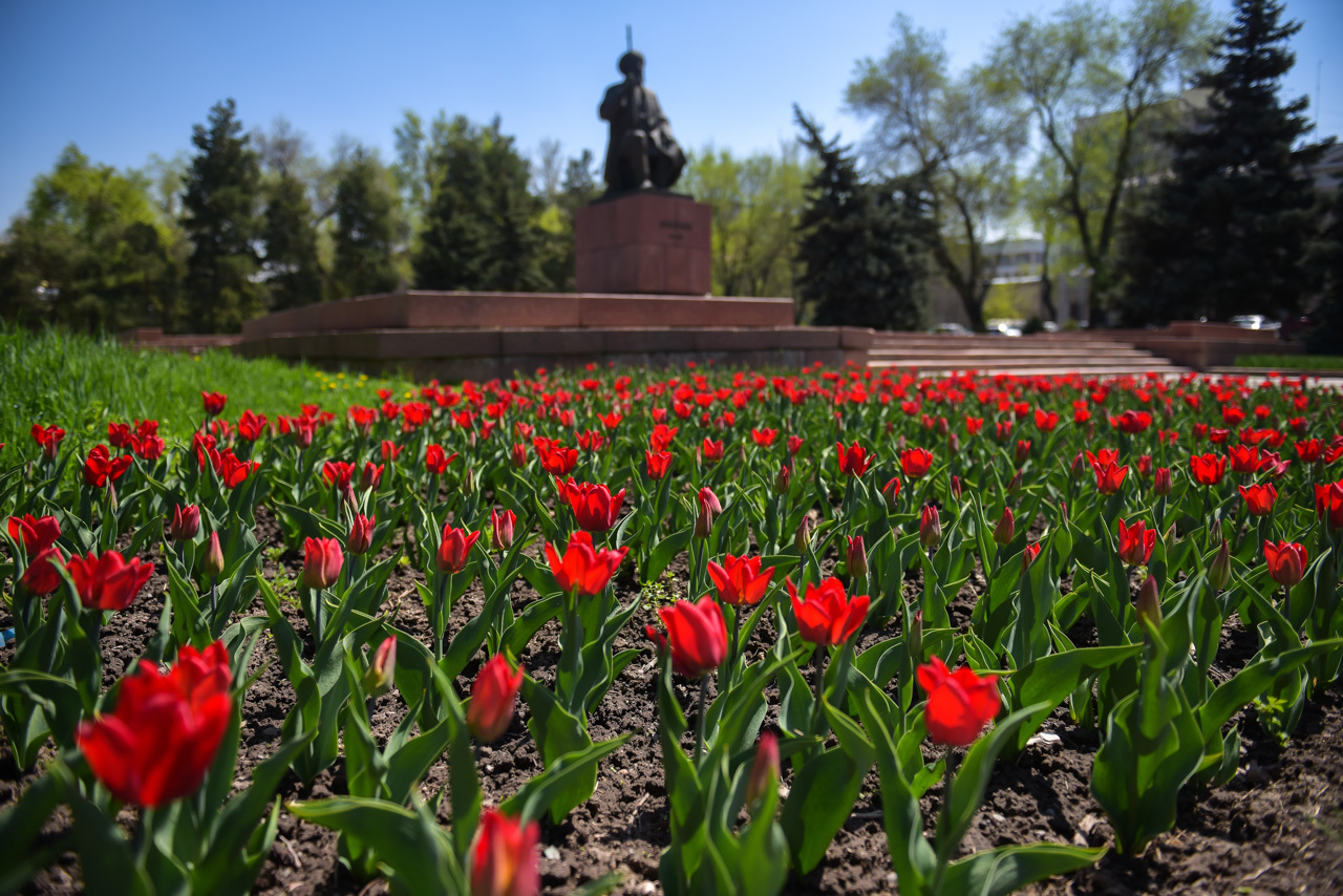 April Bishkek is the capital of my homeland!!! - Kyrgyzstan, Bishkek, Flowers, Spring, Longpost