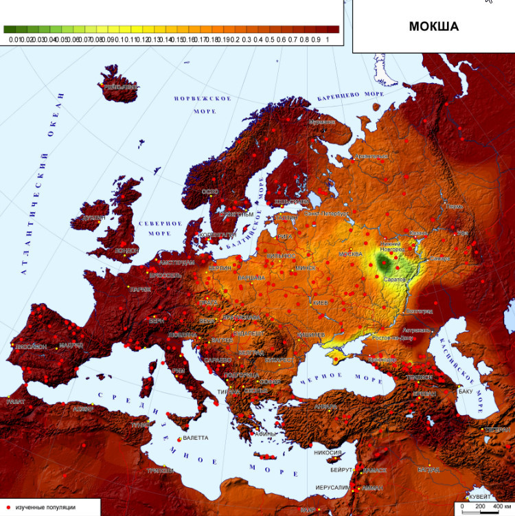 Генетическая близость: мокша, эрзя, чуваши, татары казанские, мишари, башкиры - Генетика, Генофонд, Мокша, Эрзя, Чуваши, Татары, Мишари, Башкиры, Длиннопост