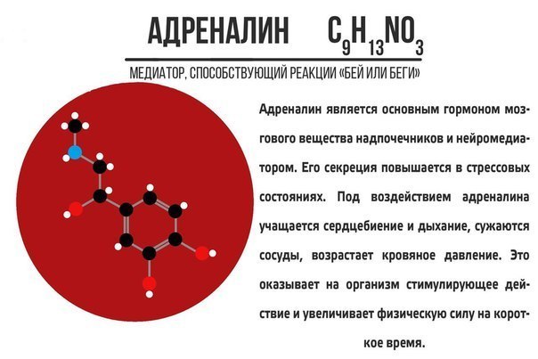 Нейромедиаторы для всех - Медицина, Биохимия, Фармакология, Нейромедиаторы, Картинки, Длиннопост