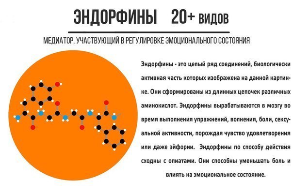 Нейромедиаторы для всех - Медицина, Биохимия, Фармакология, Нейромедиаторы, Картинки, Длиннопост