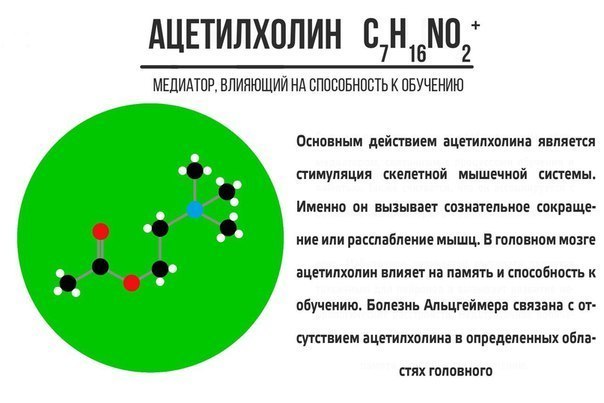 Нейромедиаторы для всех - Медицина, Биохимия, Фармакология, Нейромедиаторы, Картинки, Длиннопост