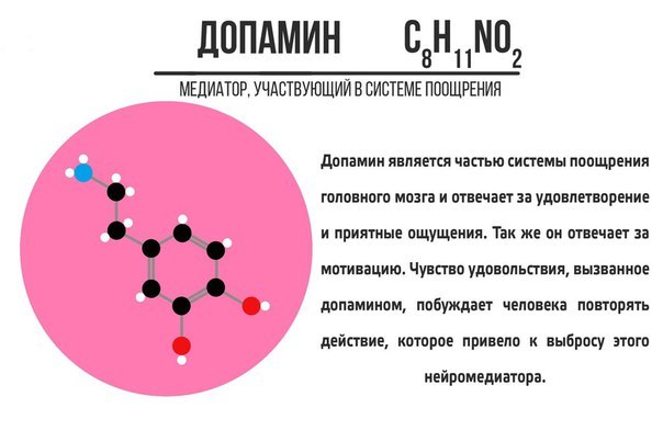 Neurotransmitters for everyone - The medicine, Biochemistry, Pharmacology, Neurotransmitters, Images, Longpost