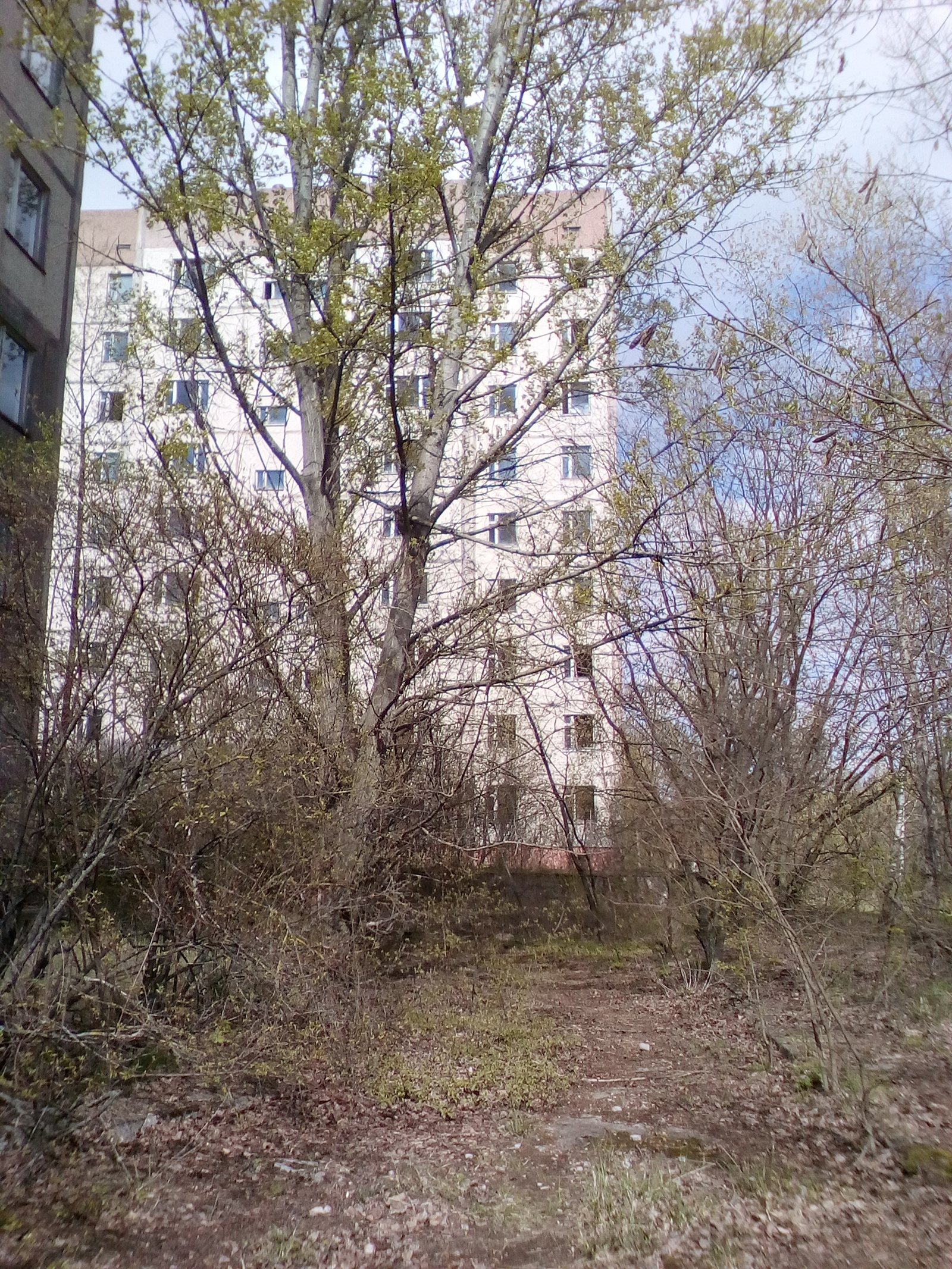 Pripyat 31 years later. - My, Pripyat, Chernobyl, , Longpost