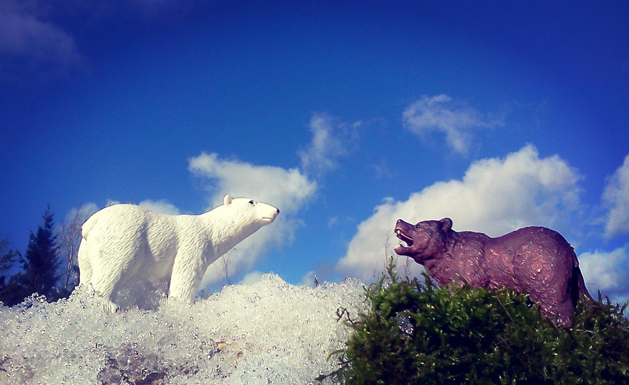 Winter and summer fight - My, The photo, The Bears