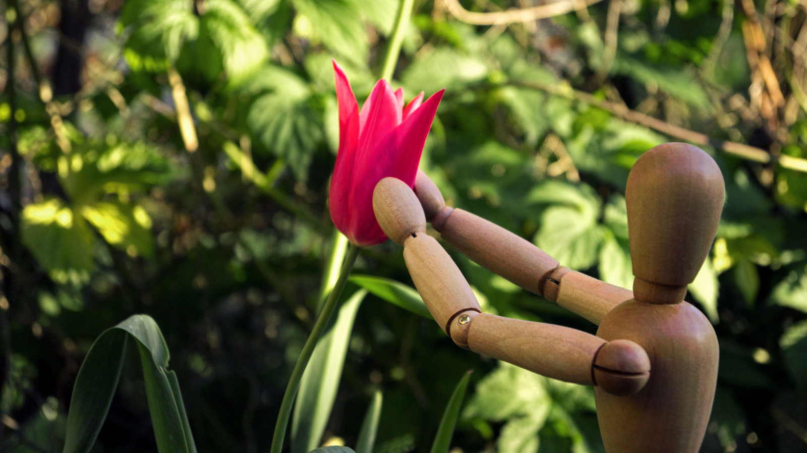 Wood. - My, Flowers, The photo, Longpost, Figurines, IKEA